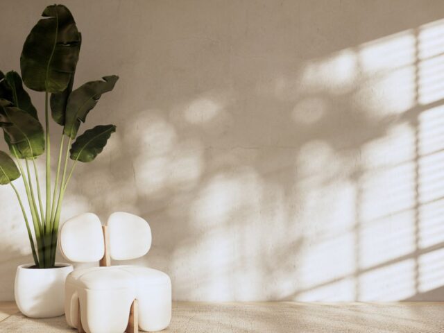 Minimalism Lifestyle